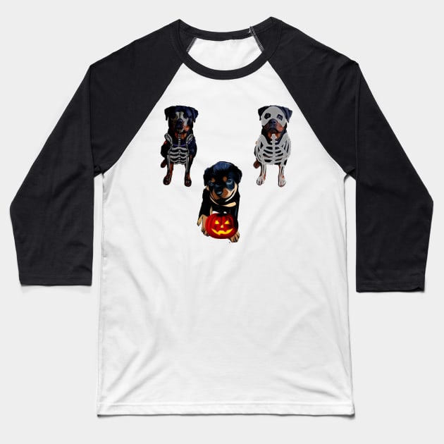 Rottweiler Halloween sticker pack Baseball T-Shirt by Freedomink
